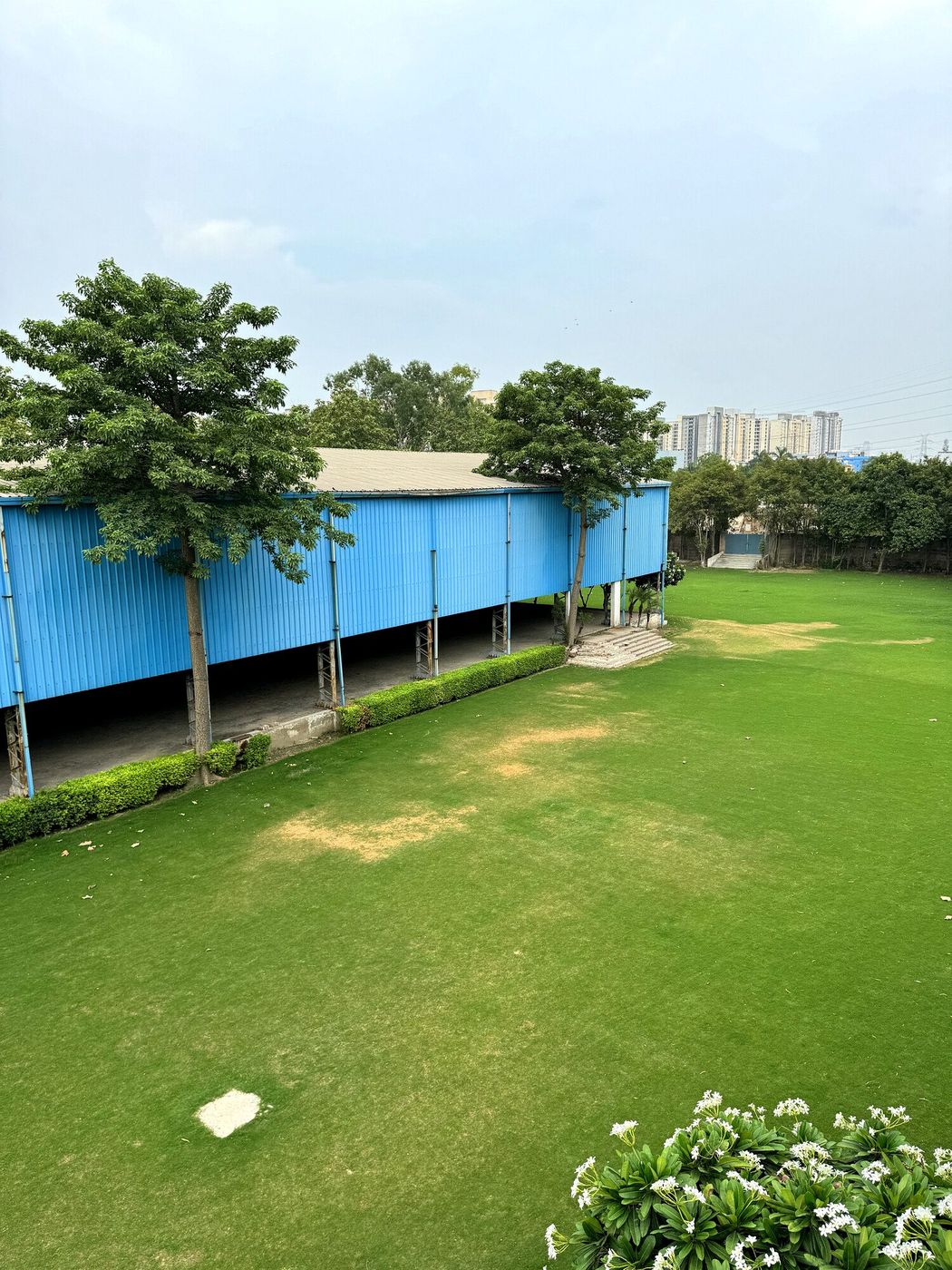 Covered blue pavilion alongside the open wedding lawn at Aarna Farms Noida — sheltered pandal space and hedges bordering the grass, seen over frangipani flowers